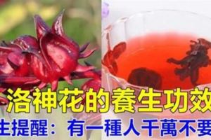 洛神花泡水喝有6大好處，但醫生提醒這種人千萬別喝。【教你自製洛神花茶】