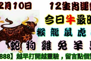 2018年12月10日，星期一農歷十一月初四（戊戌年甲子月丙子日）