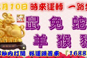 12月10日時來運轉一路發，鼠兔蛇羊猴豬，88秒內打開，好運跟著來『16888』