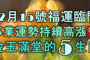 12月15號開始，福運臨門，事業運勢持續高漲，金玉滿堂的5大生肖！