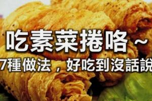 吃素菜捲咯〜17種做法，好吃到沒話說！