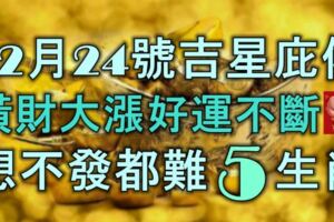 12月24號開始吉星庇佑，橫財大漲好運不斷，想不發財都難的生肖！