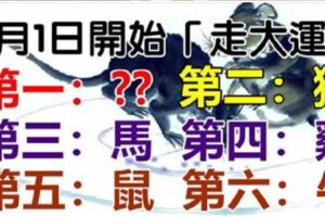 2019年1月1日，開始「走大運」的生肖！第一名：是你嗎？