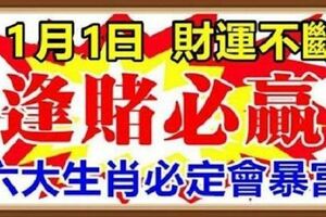 1月1日開始，財運不斷，逢賭必贏的生肖