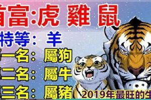 2019年最旺的生肖