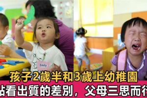 孩子2歲半和3歲上幼稚園的4大差別，家長別不在意，相差半年，未來卻很難彌補