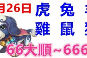 1月26日生肖運勢_虎、兔、羊大吉