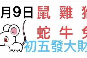 2月9日生肖運勢_鼠、雞、猴大吉