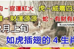 2月上旬如虎插翅的4生肖，事業強，財運旺，站得高，看得遠