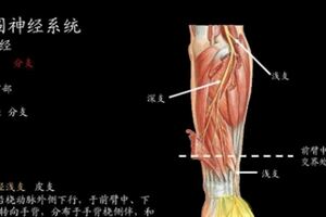 老師你會感覺「用腦過度」嗎？這套健腦神操火了，可以幫到你！