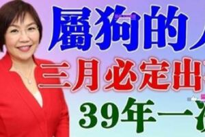 屬狗的人，三月份必定出事！39年一次