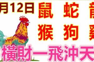 3月12日生肖運勢_鼠、蛇、龍大吉