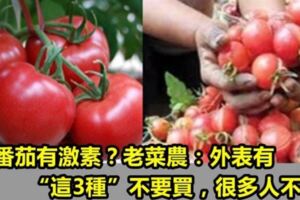 番茄有激素？老菜農：外表有「這3種」不要買，很多人不懂