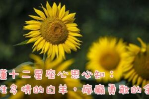 讀懂十二星座心思必知：感性多情的白羊，瘋癲勇敢的金牛