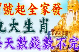 8月17號開始全家發，接到財運，每天數錢數不完的生肖