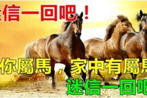 如果你不屬馬，你最愛的人屬馬，或家中有屬馬，44年才一次，迷信一回吧