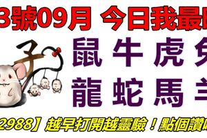 13號09月，今日我最旺！鼠牛虎兔龍蛇馬羊！【12988】越早打開越靈驗！點個讚吧！