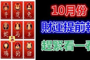 10月份，12生肖財運提前報。趕緊看一看