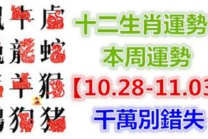 十二生肖運勢：本周運勢【10.28-11.03】千萬別錯失！