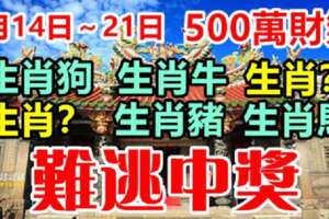 5月14日～21日天降橫財，轉發過後難逃中獎的生肖