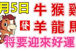 8月5日生肖運勢_牛、猴、雞大吉