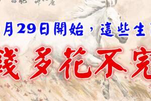 9月29日開始錢多花不完的生肖