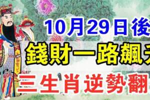 10月29日後錢財一路飆升，三生肖逆勢翻盤