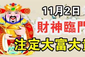 11月2日財神臨門，註定大富大貴的生肖