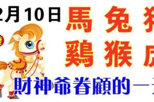 12月10日生肖運勢_馬、兔、豬大吉