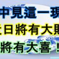 家中見這一現象，近日將有大財，將有大喜！