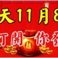 今天是11月8日你打開你發財！