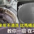 家中的洗衣機竟然「比馬桶髒」，只要簡單一招不用拆開就能把細菌清除！