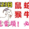 12月23日生肖運勢_鼠、蛇、龍大吉