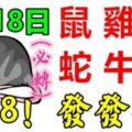 8月18日，生肖鼠、雞、猴、蛇、牛、兔888，發發發