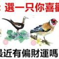 財運測試：選一隻你喜歡的鳥，測你最近有偏財運嗎？