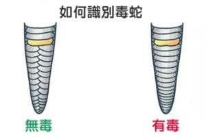 16個「不想突然死掉就一定要記在心裡」的救命小知識！