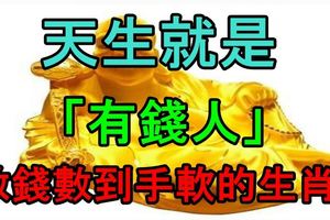 天生就是「有錢人」，數錢數到手軟的生肖！