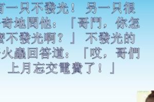 妻子問丈夫：「你是喜歡我的溫柔可愛呢，還是我的聰明美麗？」丈夫回答：「我就喜歡你這種幽默感...