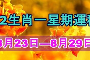 12生肖一星期運程（2017年8月23日—8月29日）