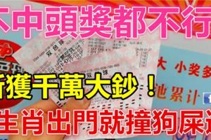 不中頭獎都不行！出門就撞狗屎運，6生肖不費吹灰之力斬獲千萬大鈔！