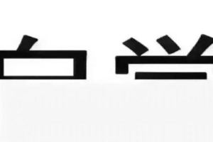 神奇測試，你看到的是什麼詞？看他們退休後最適合干什麼吧~