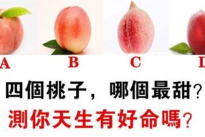 心理測試：四個桃子，你覺得哪個最甜？測你天生有好命嗎？