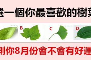 選一個你最喜歡的樹葉，測你8月份會不會有好運