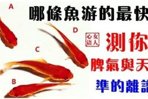 心理測試：哪條魚游的最快？馬上測出你的脾氣與天性，準的離譜