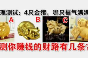 心理測試：4隻金豬，哪只福氣滿滿？測你賺錢的財路有幾條？