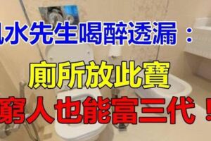 風水先生喝醉透漏：若是廁所放了此寶，窮人也能富三代！