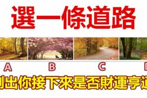 選一條道路，測出你接下來是否財運亨通