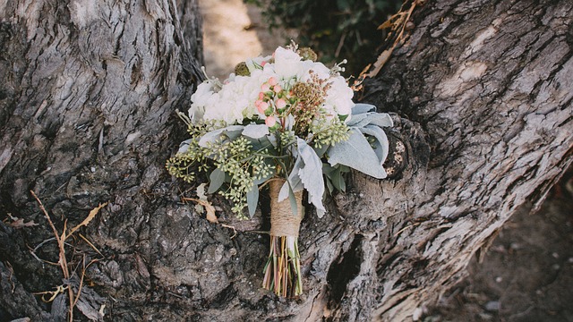 bouquet-of-flowers-1081816_640.jpg