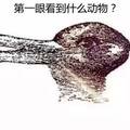 【心理測試】第一眼看出什麼，就代表你是什麼人？準到窒息！