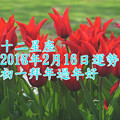 十二星座2018年2月16日運勢 初一拜年，過年好~